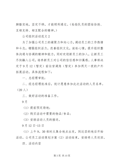 公司组织活动范文.docx