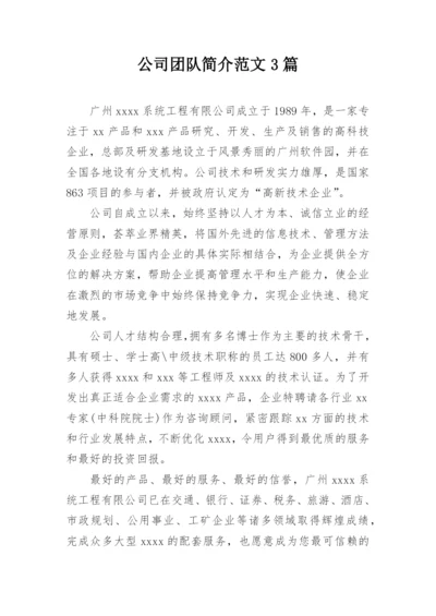 公司团队简介范文3篇.docx