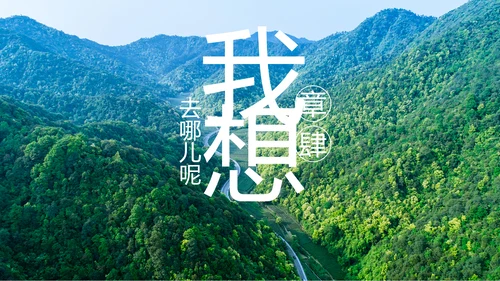 最美乡村旅游新农村建设乡村建设乡村旅游画册PPT