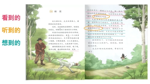 统编版四年级语文上册第五单元《习作例文》课件