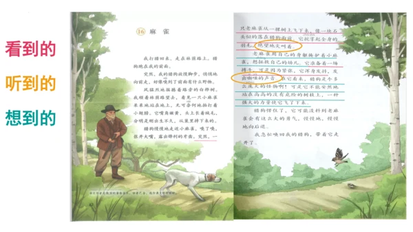 统编版四年级语文上册第五单元《习作例文》课件
