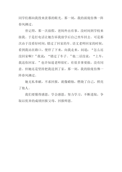 仿佛一阵春风拂过作文800字.docx