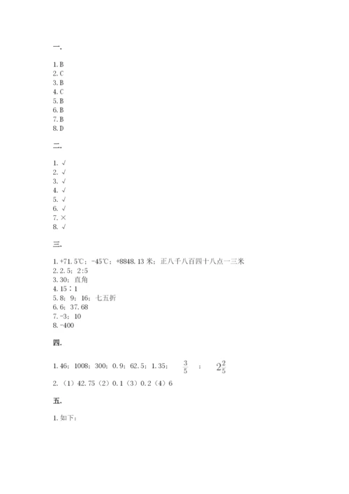 河南省平顶山市六年级下册数学期末测试卷（精练）.docx