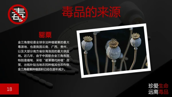 珍爱生命禁毒无毒PPT
