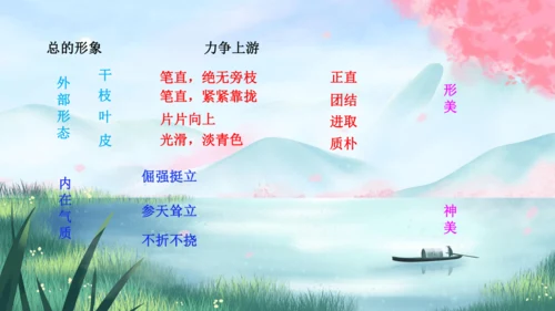15《白杨礼赞》课件