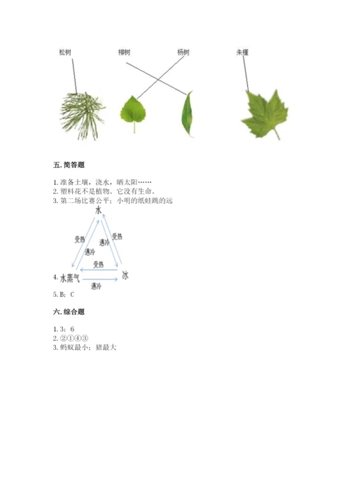 教科版一年级上册科学期末测试卷加答案下载.docx