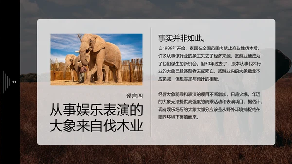保护野生动物大象PPT模板
