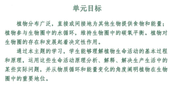 第三单元 植物的生活（单元复习课件）2023-2024学年七年级生物上册同步精品课件（人教版）(共3