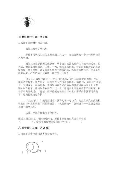 教科版小学科学三年级下册期末测试卷及完整答案（易错题）.docx