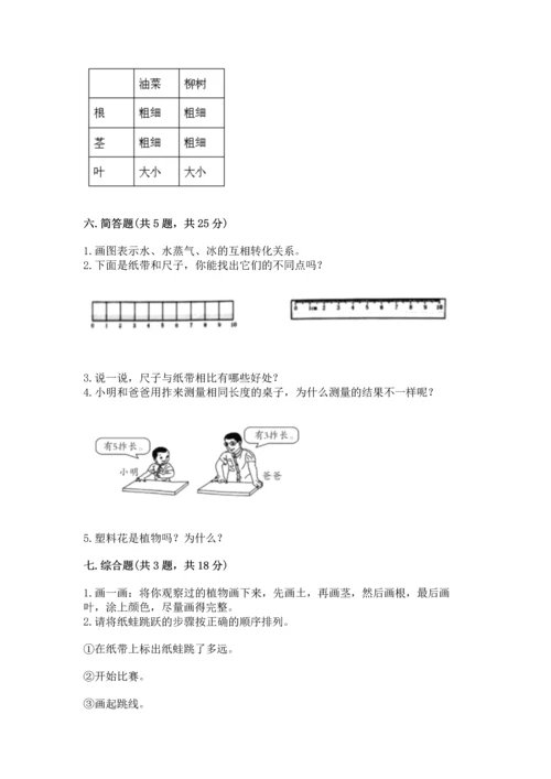 教科版一年级上册科学期末测试卷【综合卷】.docx