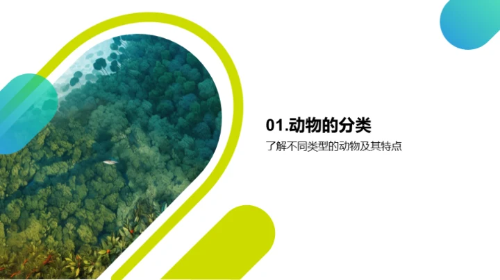 动物世界的奥秘