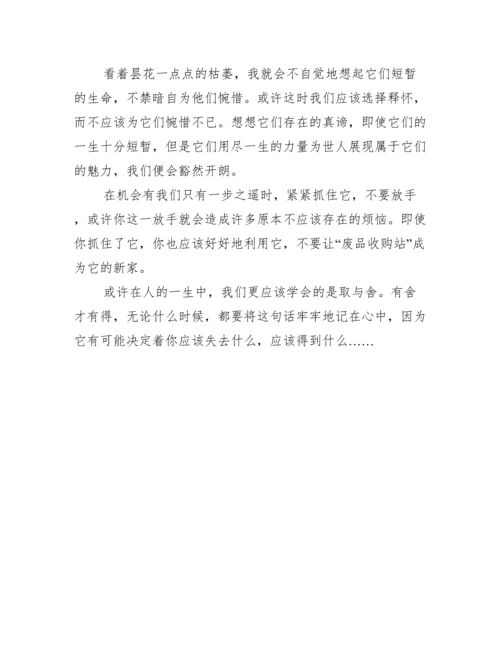 2022学会取舍议论文800字,学会取舍议论文范本3篇.docx