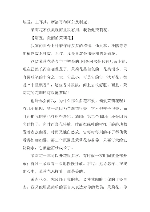 关于茉莉花的作文.docx
