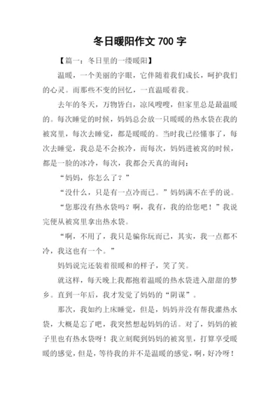 冬日暖阳作文700字-1.docx