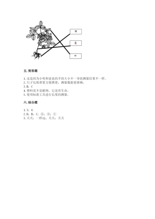 教科版一年级上册科学期末测试卷1套.docx