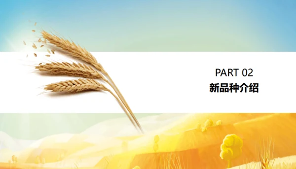 农作物粮食农村现代化通用PPT模板