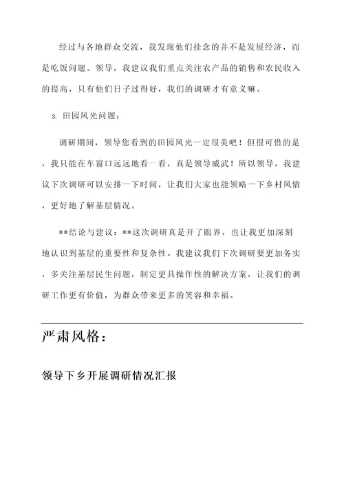 领导下乡开展调研情况汇报