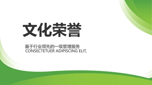 绿色大气保险公司教师工作总结计划动态PPT模板