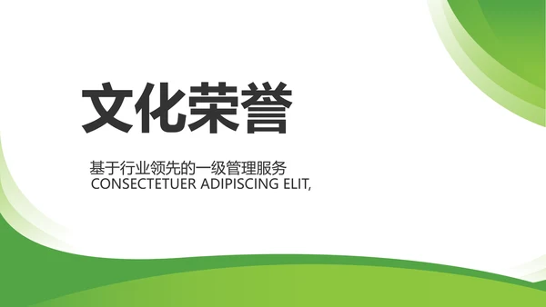 绿色大气保险公司教师工作总结计划动态PPT模板