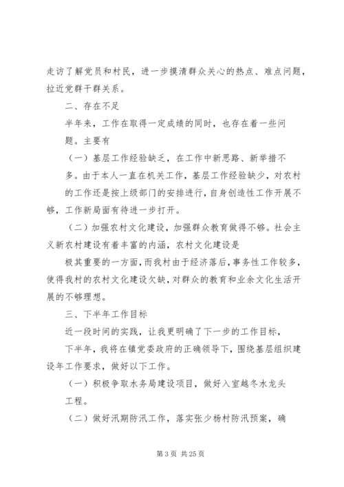 第一书记工作总结及下一步计划与打算.docx