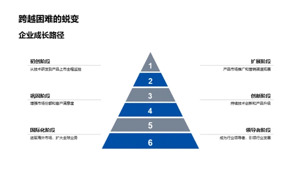 XX企业:策略与前景