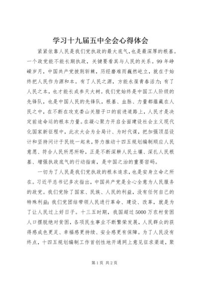 学习十九届五中全会心得体会.docx