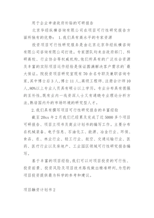 项目融资计划书.docx