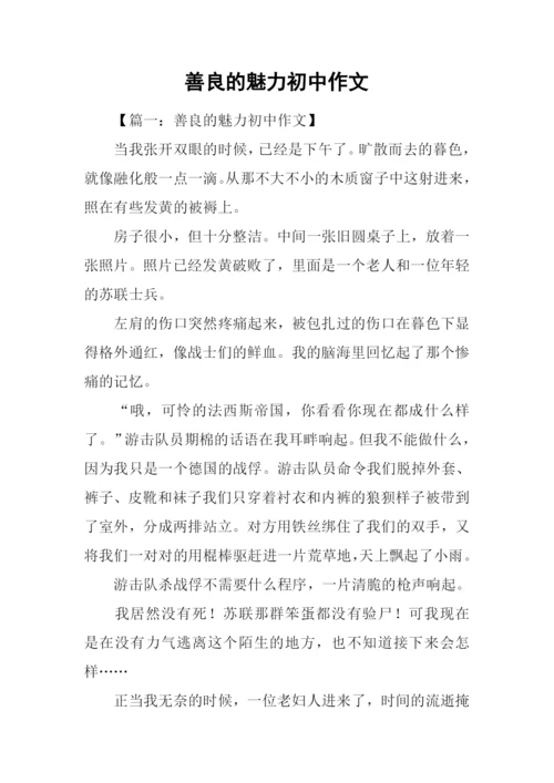 善良的魅力初中作文.docx