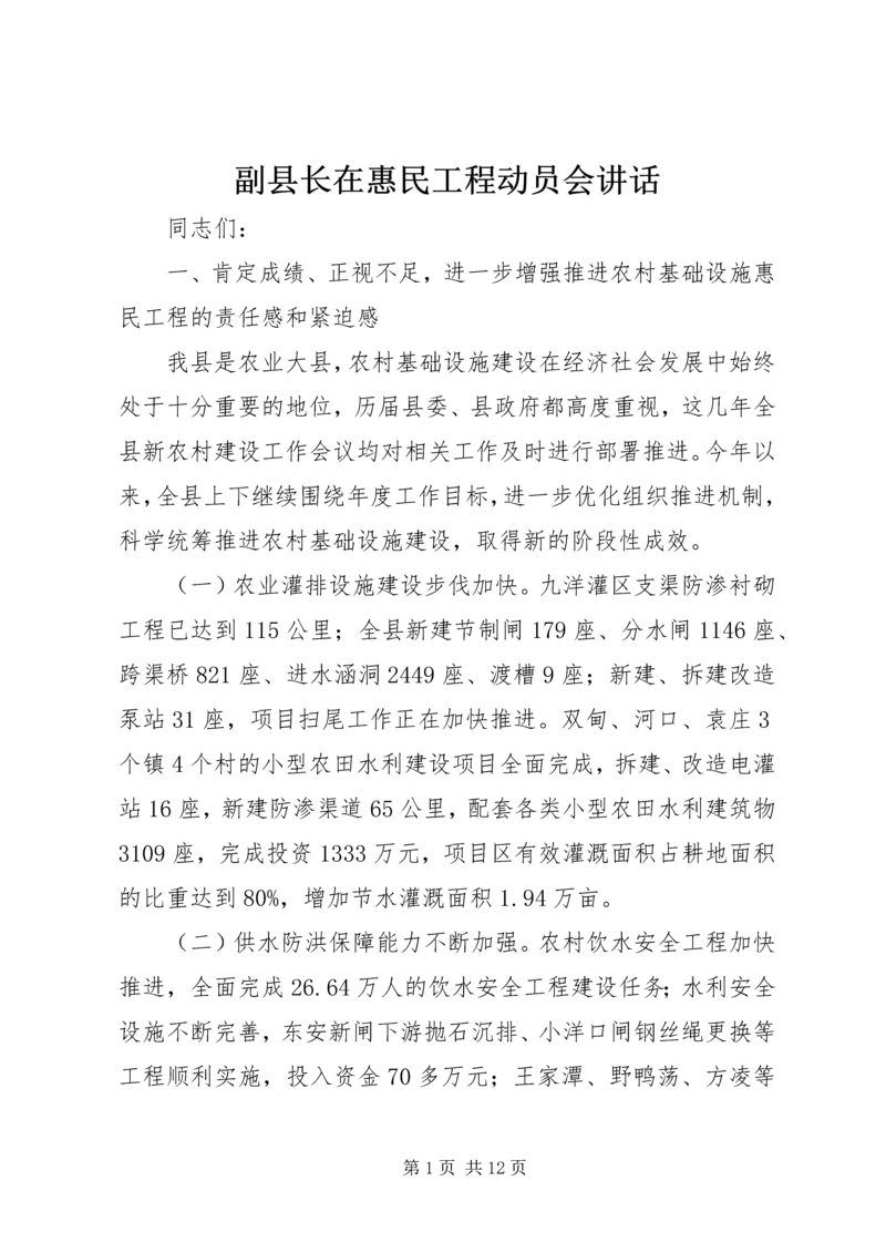 副县长在惠民工程动员会讲话.docx