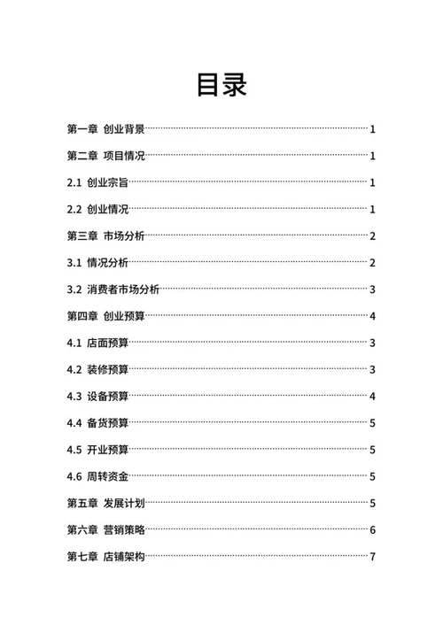 酒吧创业计划书word模板