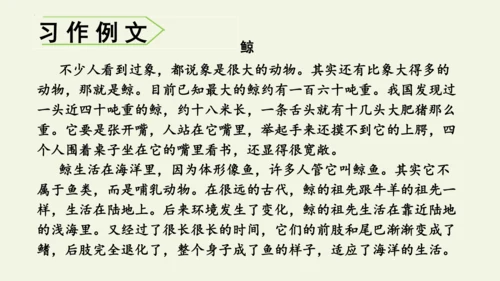部编版 五年级语文上册第五单元习作例文 《鲸》（课件）