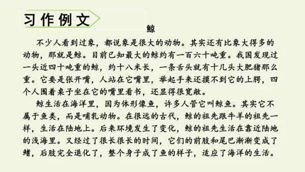 部编版 五年级语文上册第五单元习作例文 《鲸》（课件）