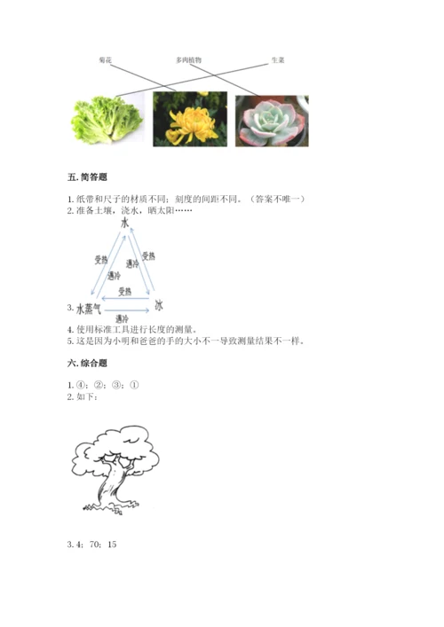 教科版一年级上册科学期末测试卷【典优】.docx