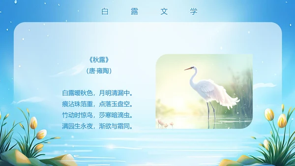 美丽的梦幻传统节气白露PPT模板