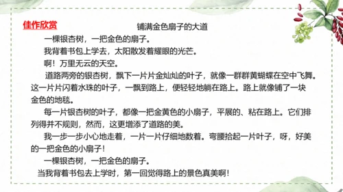 5 《铺满巴掌的水泥道》仿写指导课件