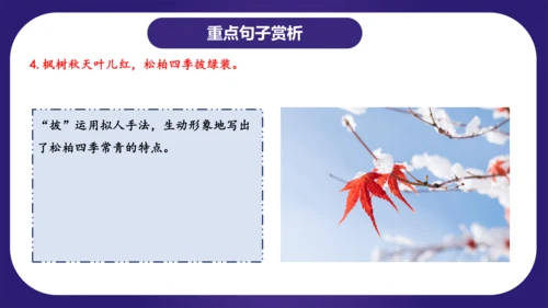 统编版语文二年级上册识字 第二单元（复习课件）