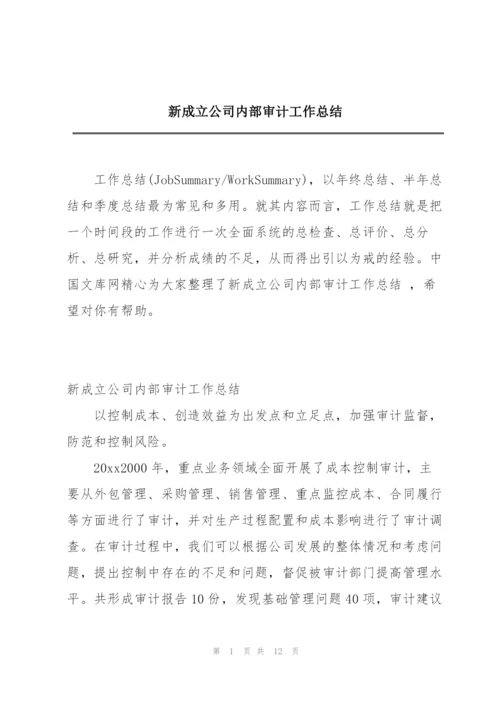 新成立公司内部审计工作总结.docx