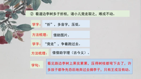【大单元】统编版四上第八单元  第3课时 25.王戎不取道旁李   课件