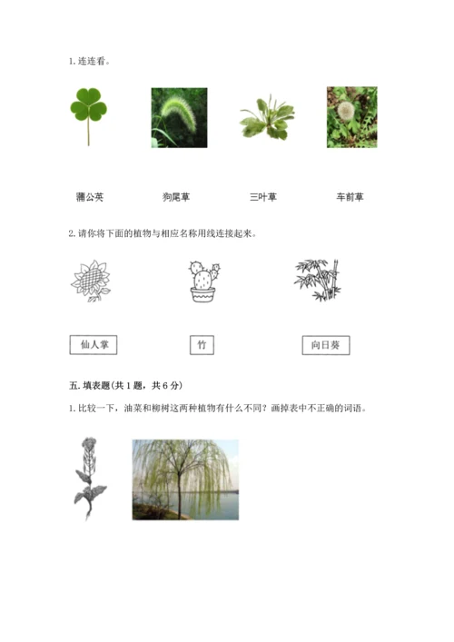 教科版科学一年级上册第一单元《植物》测试卷（精品）.docx