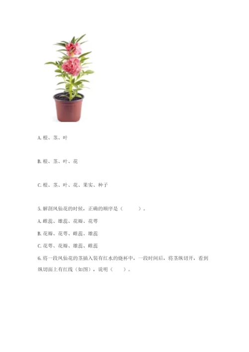 科学四年级下册第一单元《植物的生长变化》测试卷【真题汇编】.docx