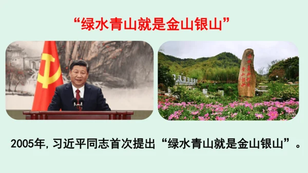 10.《我们所了解的环境污染》（第二课时）  课件