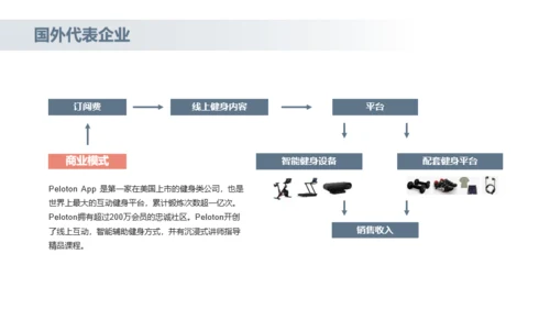 2022年居家健身行业研究报告