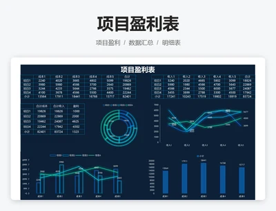 项目盈利表