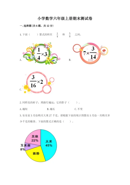 小学数学六年级上册期末测试卷及完整答案【有一套】.docx