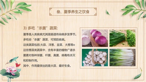 三伏养生中医食疗PPT模板