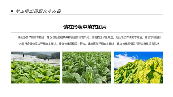 中国人寿保险公司年中工作总结工作计划PPT