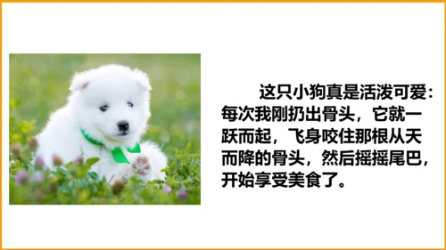 统编版四年级语文下册同步精品课堂系列语文园地四（教学课件）