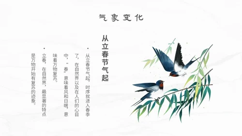 白色简约小清新传统二十四节气立春主题PPT模板