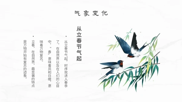 白色简约小清新传统二十四节气立春主题PPT模板