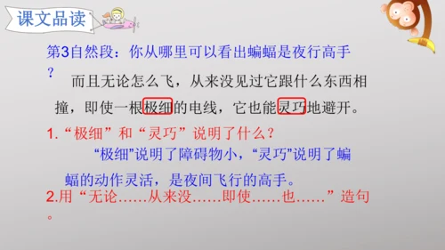 6 夜间飞行的秘密   课件